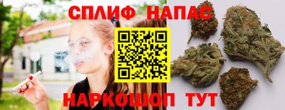 эйфоретик Кингисепп