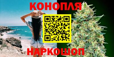 эйфоретик Кингисепп