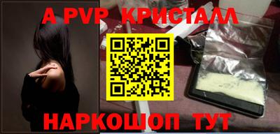 эйфоретик Кингисепп