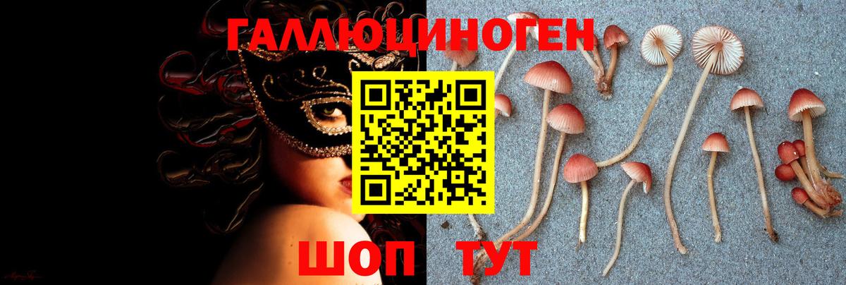 APVP Кызыл
